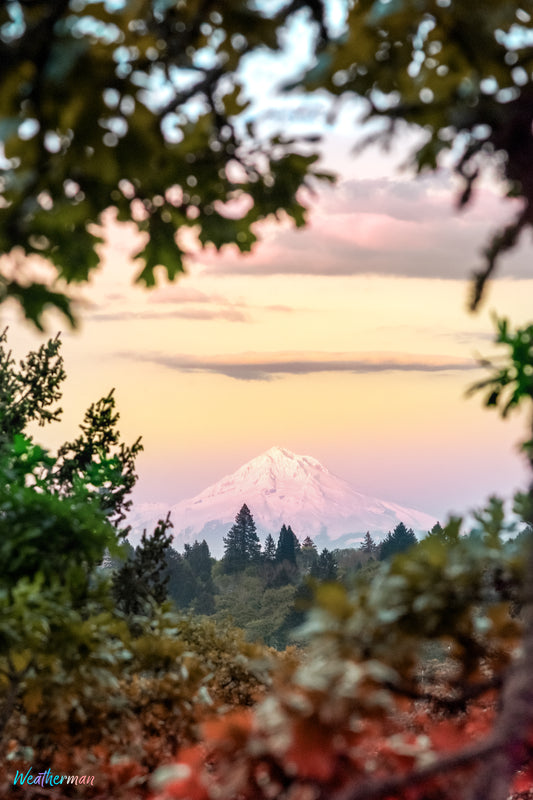 Mount Hood
